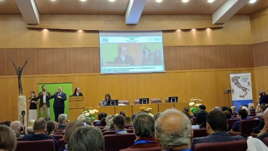 Giubileo della Disabilità, UNITALSI: “Noi, pellegrini di speranza”