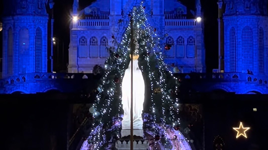 Anche a Lourdes, innalzato l’albero di Natale